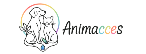Animacces